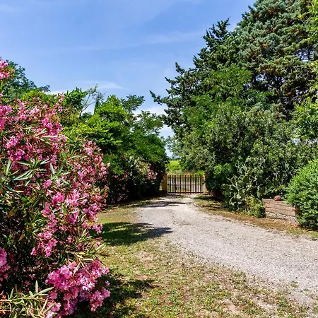 Margherita - La Fattoria *